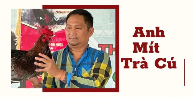 Tìm hiểu về sư kê Mít Trà Cú chi tiết nhất tai gemwin