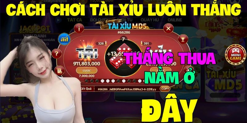 Cao thủ gemwin chia sẻ cách chơi tài xỉu online luôn thắng hiệu quả nhất 2024